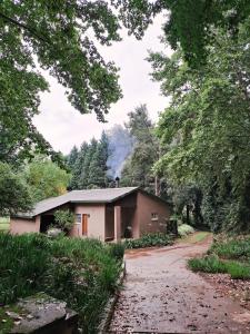 温特顿Berghaven Cottages的树林里的房子,前面有一条土路