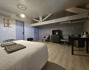 a bedroom with a bed and a desk and a television at La fontaine de rocoule in Rochefort-en-Valdaine