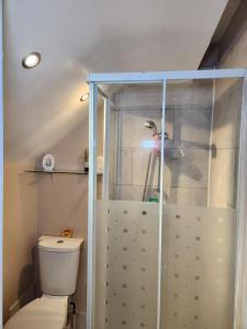 a small bathroom with a shower with a toilet at Tuscawilla 2 in Plumstead