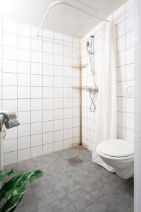 a bathroom with a toilet and a shower curtain at Beautiful home in the heart of Oslo (Grünerløkka) in Oslo