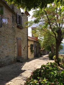an alley in an old stone building with a tree at Casa Mia A Cortona in Cortona