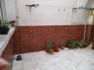 a brick wall with potted plants in a room at Appartement à Oran in Oran
