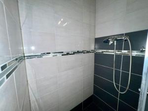 een badkamer met een douche met blauwe en witte tegels bij Appartement 3 prsn Proche citadelle in Besançon