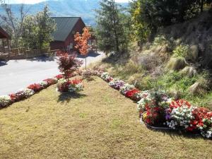 Solid Ground Lodge with Yard!外面的花园