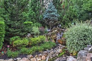 Solid Ground Lodge with Yard!外面的花园