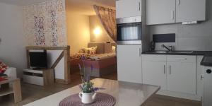 Kuchyň nebo kuchyňský kout v ubytování Spreewald Ferienwohnung Wollgast