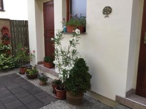 Zahrada ubytování Pension 325
