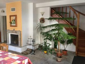 Fotografie z fotogalerie ubytování Pension 325 v Táboře