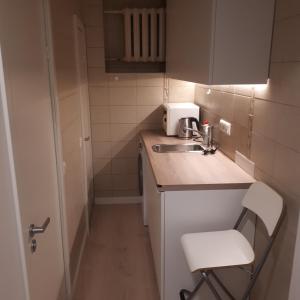 uma pequena cozinha com um lavatório e um WC em Mini apart Žvėrynas em Vilnius