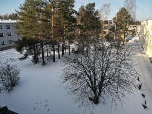 un grupo de árboles en la nieve en una ciudad en Sea Apart Velhontie, en Kotka