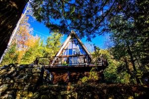 a tree house in the middle of a forest at Chalet Skunks in La Conception