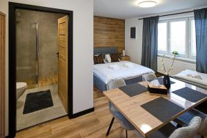 um quarto de hotel com uma cama e uma casa de banho em U Šípků em Ostrava