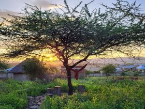 Ein Baum auf einem Feld mit Sonnenuntergang im Hintergrund in der Unterkunft Mwi Village House in Mto wa Mbu