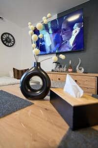 Telewizja i/lub zestaw kina domowego w obiekcie U Šípků