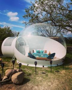 a glass dome with a bed inside of it at Bubble Tent Berlin in Altlandsberg