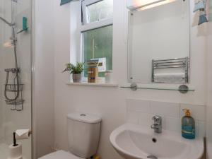 a bathroom with a toilet and a sink and a mirror at Hazelnut Lodge in Crediton +18 photos