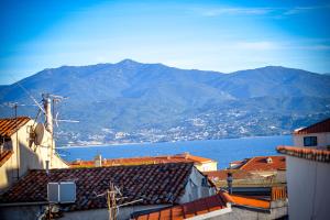 uitzicht op een stad en het water en de bergen bij Rosella - Terrasse rooftop, hypercentre, wifi - by TGB in Ajaccio
