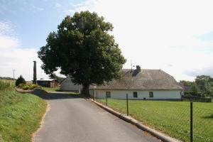 a tree on the side of a road next to a house at Chalupa Nemilkov in Velhartice