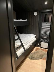 a bedroom with a bunk bed and a rug at Gudbrandsdalen view cabin in Strande