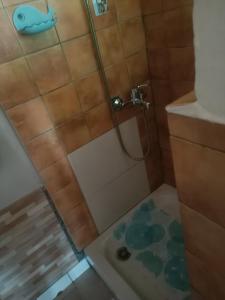 a bathroom with a shower with a blue whale on the wall at Appartement LiHeRo in Antananarivo