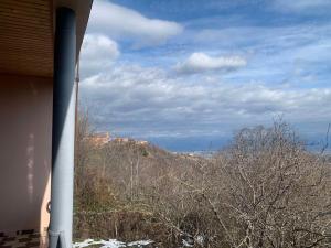 Blick auf einen Hügel mit Bäumen und ein Haus in der Unterkunft Villa Bodbe in Sighnaghi