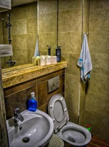 La salle de bains est pourvue d'un lavabo et de toilettes. dans l'établissement Terminal Vidikovac, à Budva