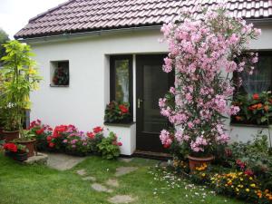 a house with flowers in front of a door at Penzion Nevcehle in Urbanov