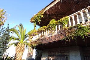 un edificio con plantas a un lado con una palmera en La Casona de Toledo en Gerindote