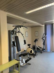 Fitness centrum a/nebo fitness zařízení v ubytování Lake Apartment 3