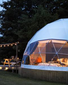 Stargazing Dome 내부 또는 인근 수영장