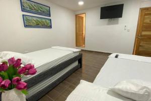 1 dormitorio con 2 camas y TV en la pared en Brisas de barú en Ararca