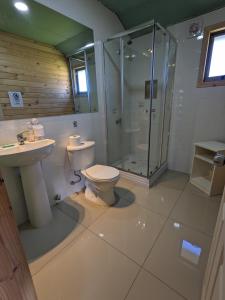 a bathroom with a toilet and a shower and a sink at Cabaña Coigües Balneario Punta de Lapas in Quellón