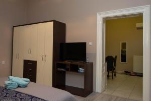 1 dormitorio con 1 cama y TV en un armario en Apartments Borovo, en Subotica