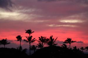 a sunset with palm trees in the foreground at Kiahuna Plantation 96, Poipu Beach, Athletic Club Membership, Part Ocean View in Koloa