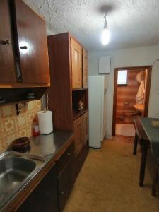 eine Küche mit Holzschränken, einer Spüle und einem Kühlschrank in der Unterkunft To XYLINO 