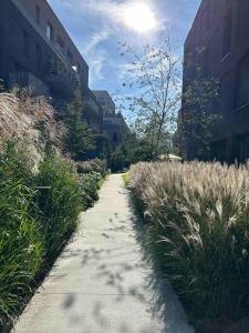 a path between some tall grass and some buildings at Appartement neuf avec balcon/ fibre/parking privé in Massy