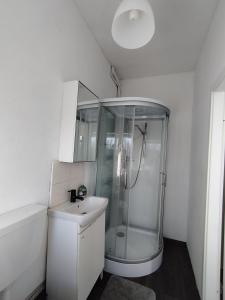 a bathroom with a shower and a sink at Daily Weekly Monthly Apartment in Glauchau