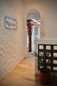 un couloir avec une plante et un panneau sur un mur dans l'établissement Vila DuJu, à Porto de Galinhas