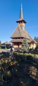a large building with a tree in front of it at Panoramic House in Borsa
