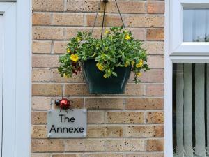 a potted plant hanging on a brick wall with a sign at The Annexe in Bridlington