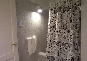 y baño con ducha y cortina de ducha en blanco y negro. en Casa Eusebio - Catamarca capital en San Fernando del Valle de Catamarca