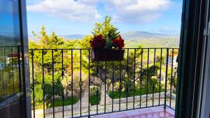 a view from a balcony with a potted plant at Country Sicily Home in Favara