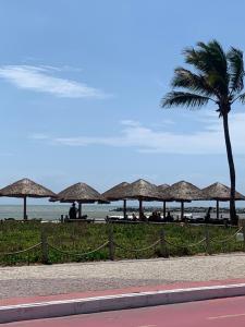 a beach with a palm tree and a row of umbrellas at JacaraipeTop in Serra