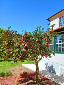 un árbol con flores rojas delante de una casa en Quinta Catrinandes - Retreat Center, en Tondela