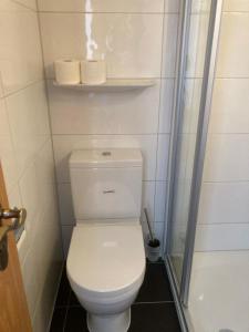 a small bathroom with a toilet and a shower at Hotel Zum Weissen Mohren in Walluf