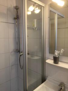 a bathroom with a shower and a toilet and a sink at Hotel Zum Weissen Mohren in Walluf