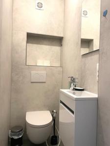 a small bathroom with a toilet and a sink at Penthouse 3 bedrooms in center w. private garden in Luxembourg