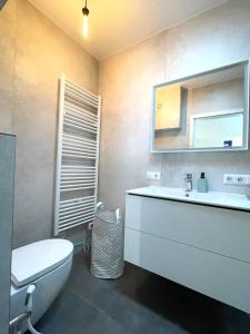 a bathroom with a sink and a toilet and a mirror at Penthouse 3 bedrooms in center w. private garden in Luxembourg