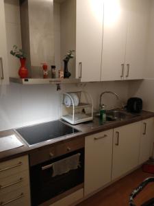 a small kitchen with a sink and a sink at COZY STUDIO CENTRAL in Helsingborg