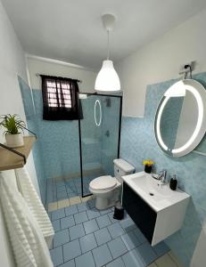 a bathroom with a toilet and a sink and a mirror at Villa Alborada in Arecibo